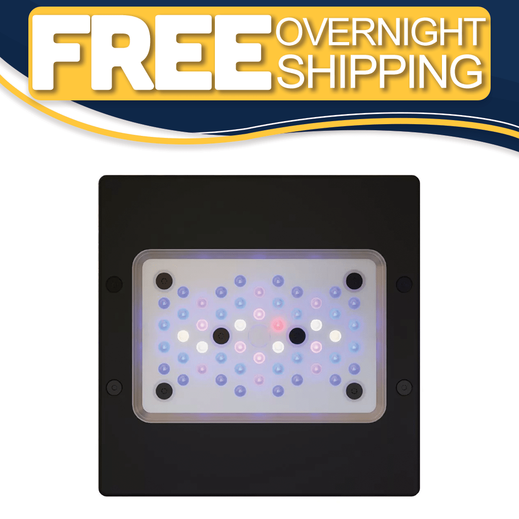 Radion XR15 G6 Blue LED Light Fixture - EcoTech Marine – Top Shelf