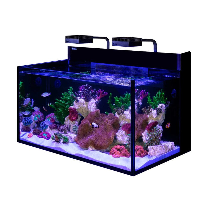 MAX NANO G2 XXL Complete Reef System (53 Gal) - Red Sea – Top